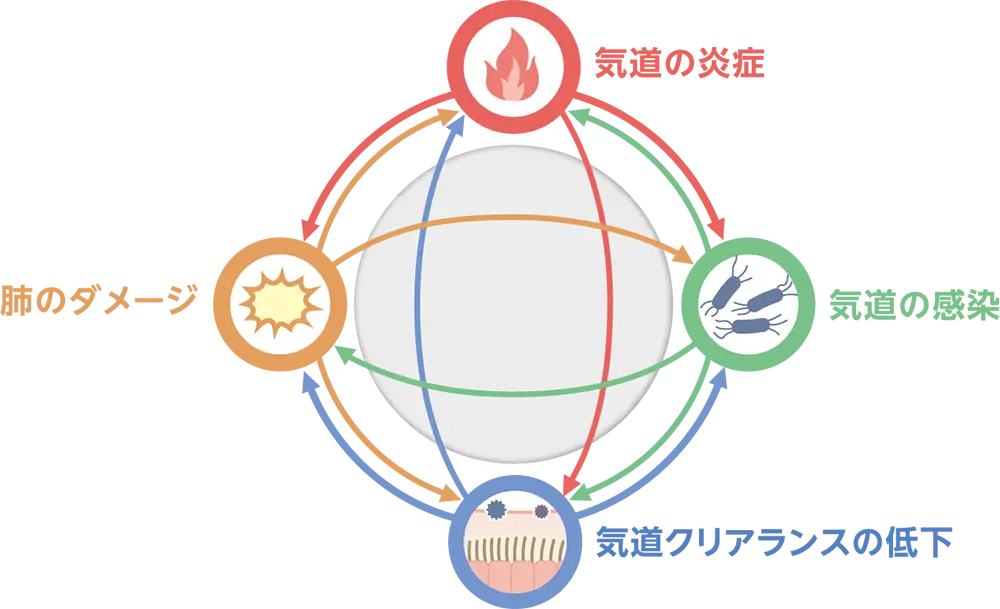 気管支拡張症のさまざまな要因のイメージ。気道の炎症・気道の感染・気道クリアランスの低下・肺のダメージの悪循環。